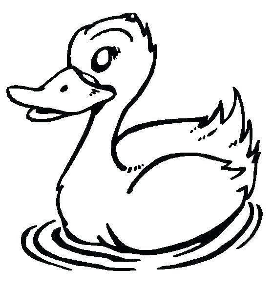 559x597 Duckling Coloring Pages Ugly Duckling Coloring Pages Duckling
