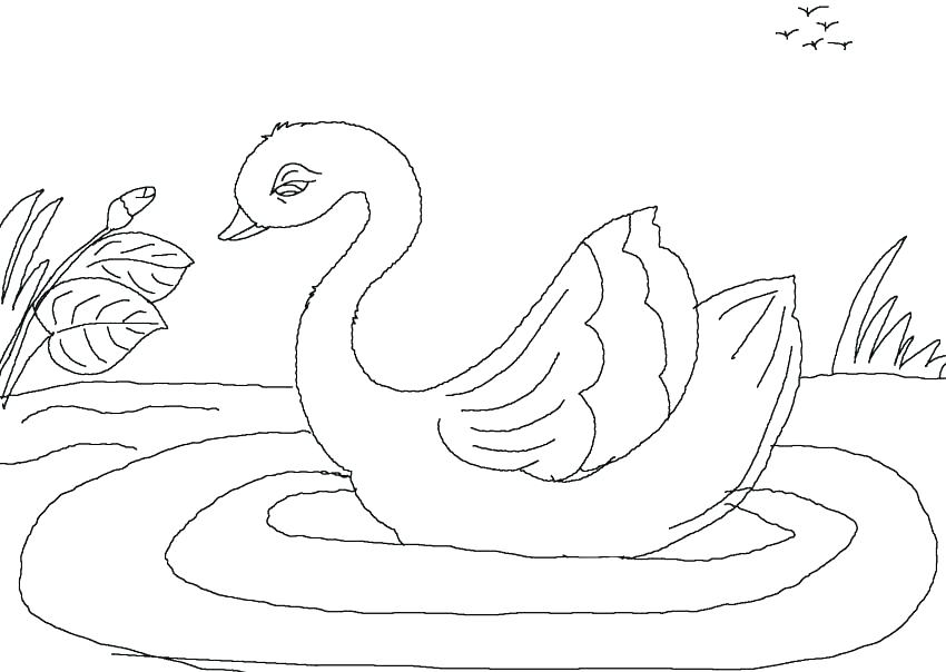 850x604 Ugly Duckling Coloring Pages Ugly Duckling Coloring Pages Make Way