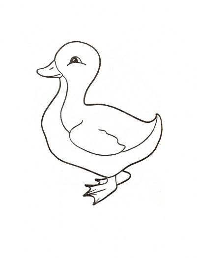 405x525 Drawn Duckling Color