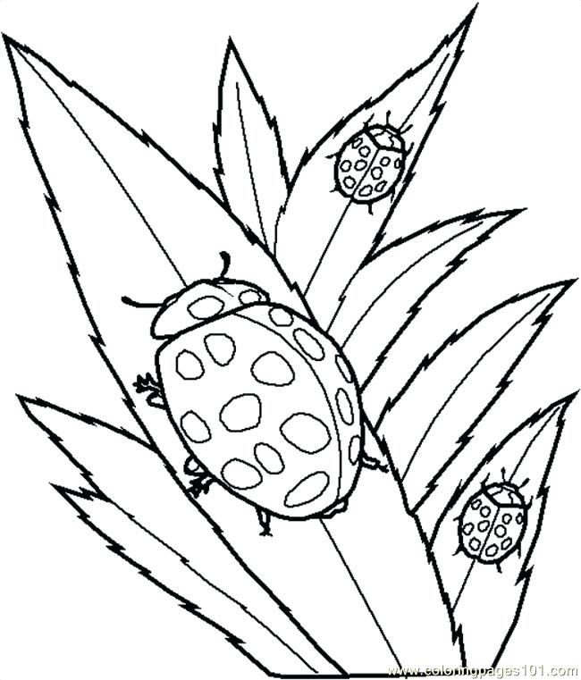 650x761 Create Your Own Coloring Page