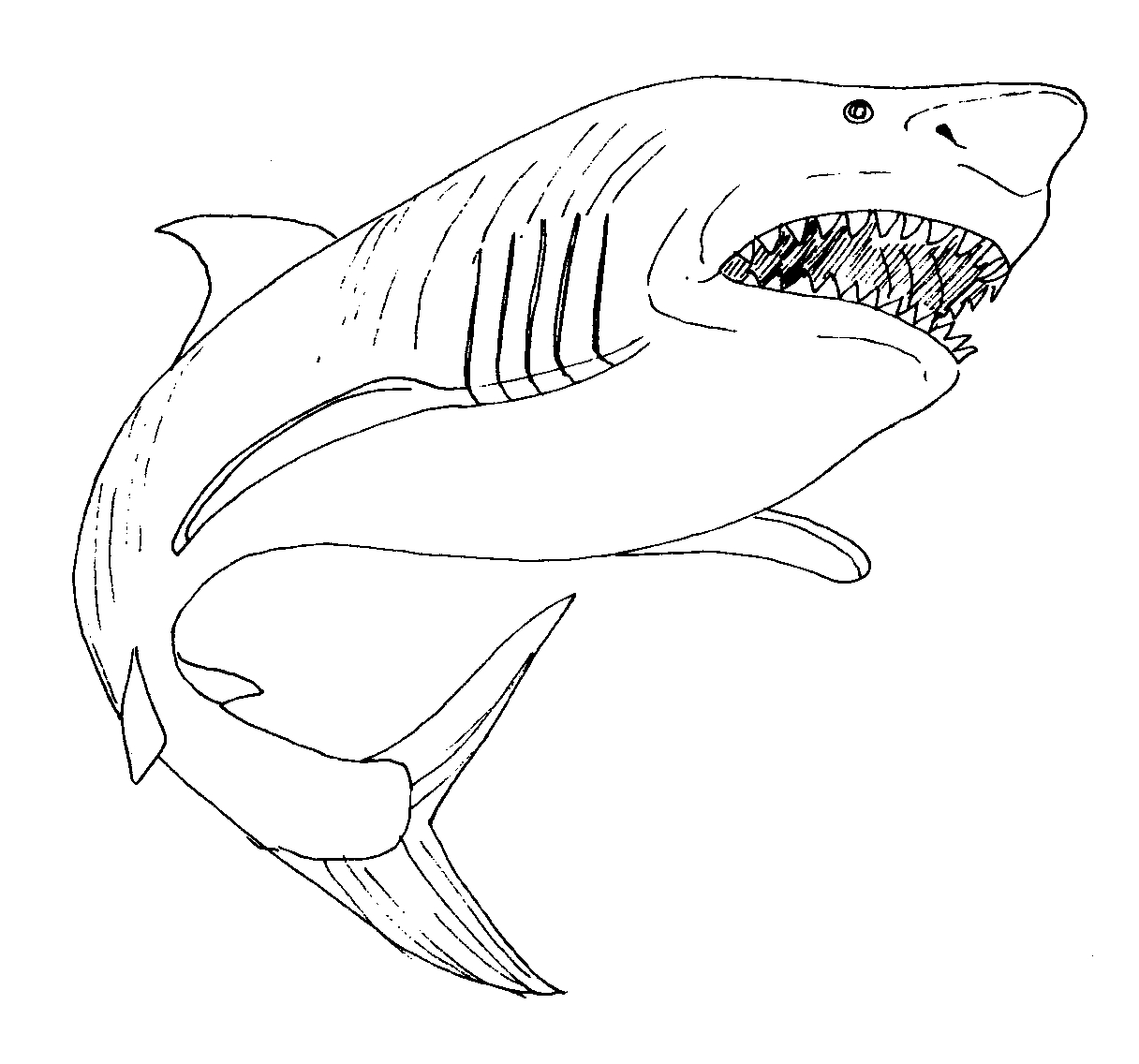 1216x1136 Mako Shark Coloring Page Sharks Epic Great White Shark Coloring