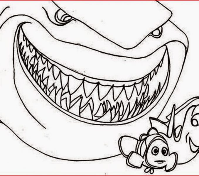 678x600 Shark Coloring Pages Printable Coloring Pages To Print Coloring