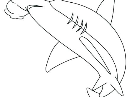 440x330 Great Hammerhead Shark Coloring Pages Shark Shark Tale Coloring
