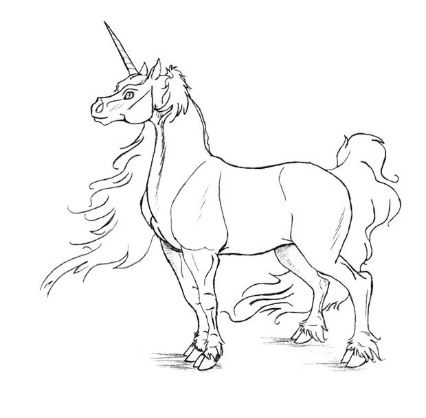 620x609 The Male Unicorn Coloring Page Kids Coloring Pages