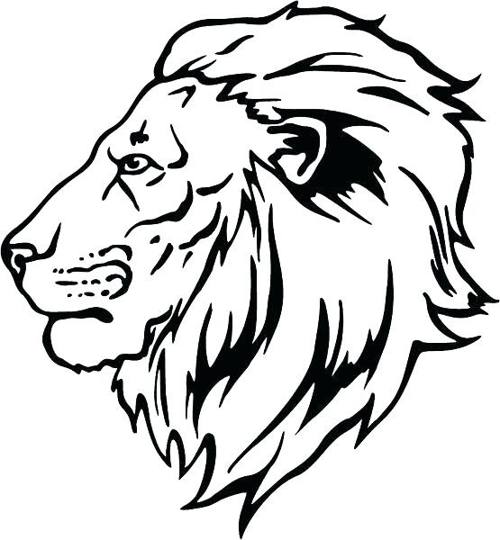 555x600 Lions Coloring Pages Cartoon Male Lion Coloring Page Lions Den