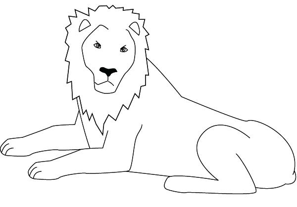 600x419 Click To See Printable Version Of Male Lion Coloring Page Free