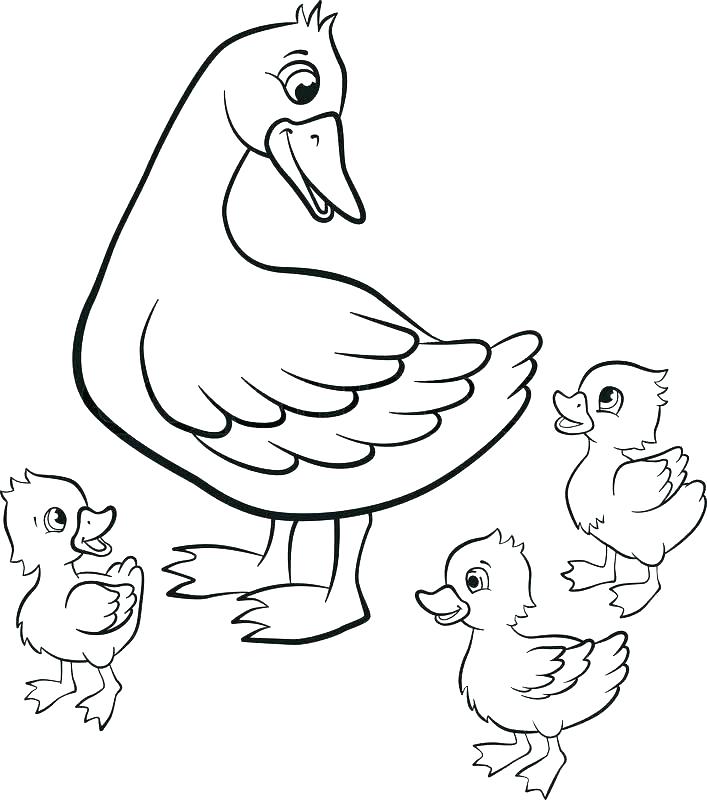 707x800 Duck Coloring Page Coloring Pages Duck Mallard Duck Coloring Page