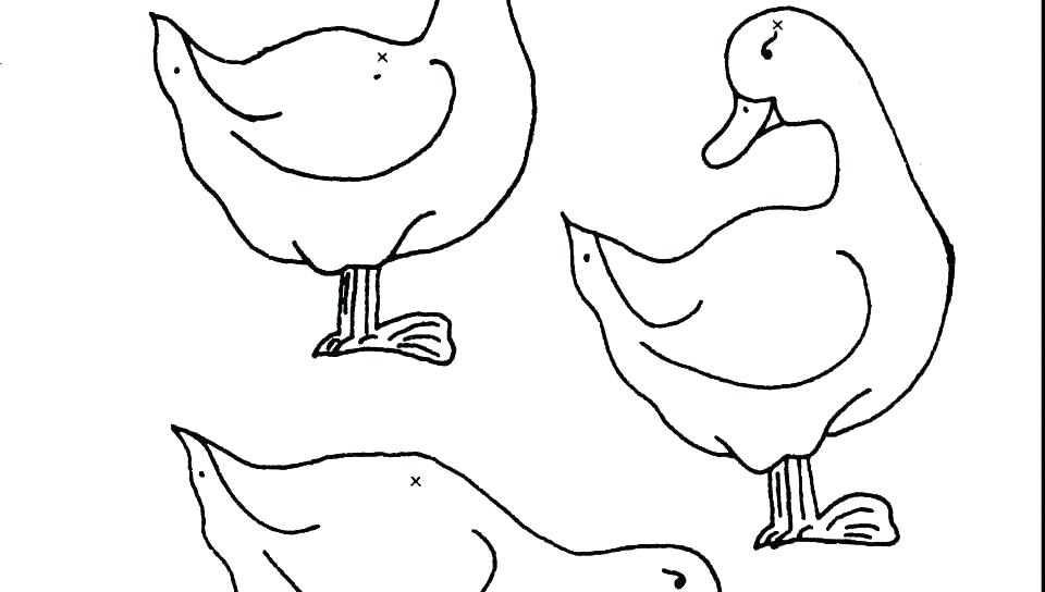 960x544 Duck Coloring Page Ducks Coloring Pages Mallard Duck Coloring Page