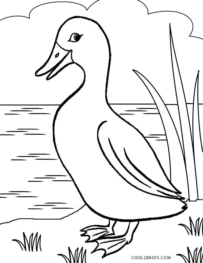 650x843 Duck Coloring Page