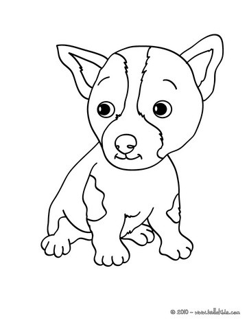 363x470 Maltese Dog Puppy Coloring Pages