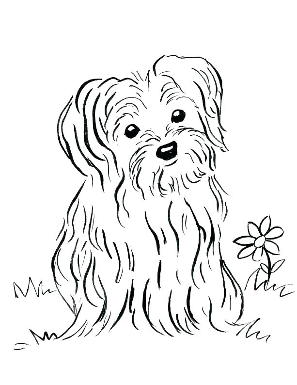613x794 Printing Coloring Pages Of Puppies Dog Coloring Pages To Print