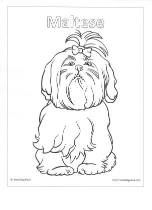 303x420 Kids Puppy Coloring Pages