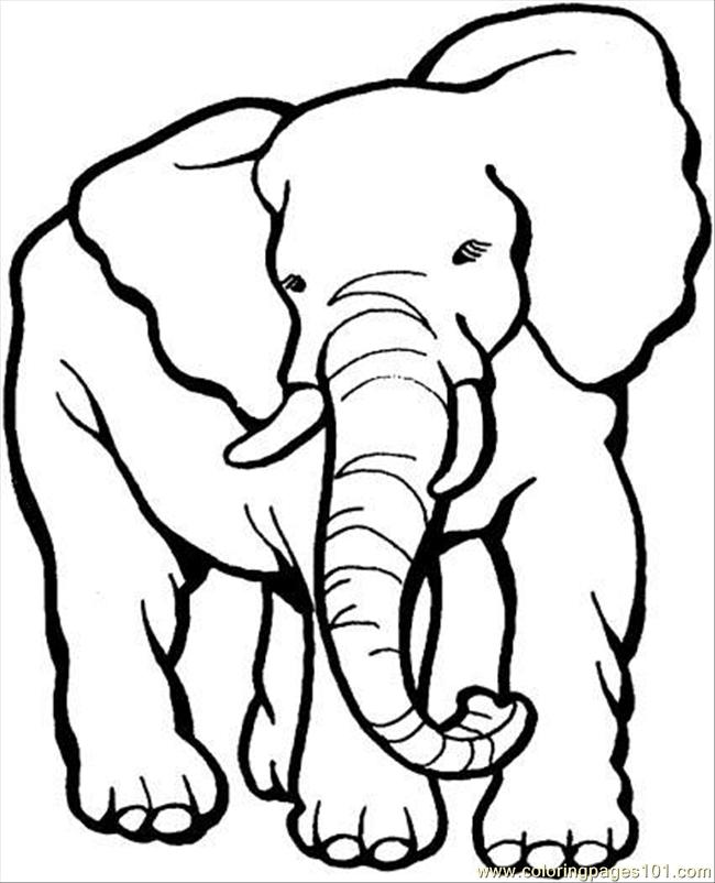 650x802 Elephant Coloring Page Coloring Page