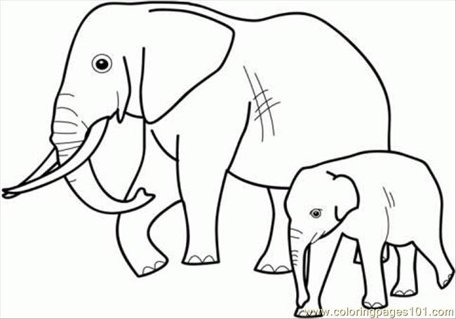 650x455 Elephant Family Coloring Page
