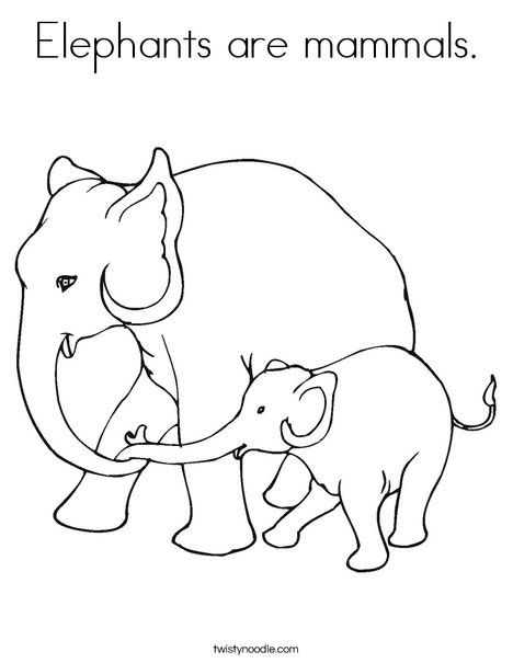 468x605 Elephants Are Mammals Coloring Page From Let