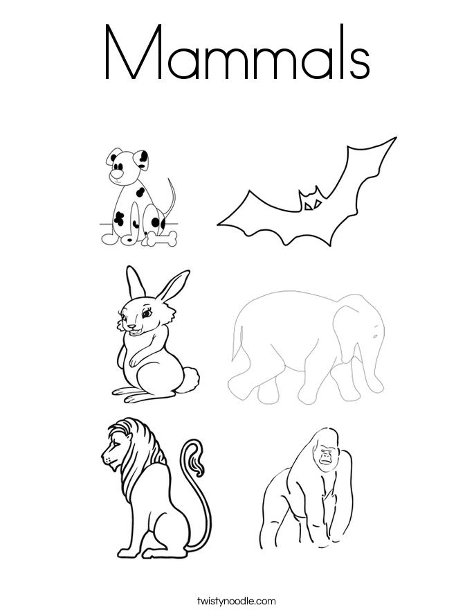 685x886 Mammals Coloring Page
