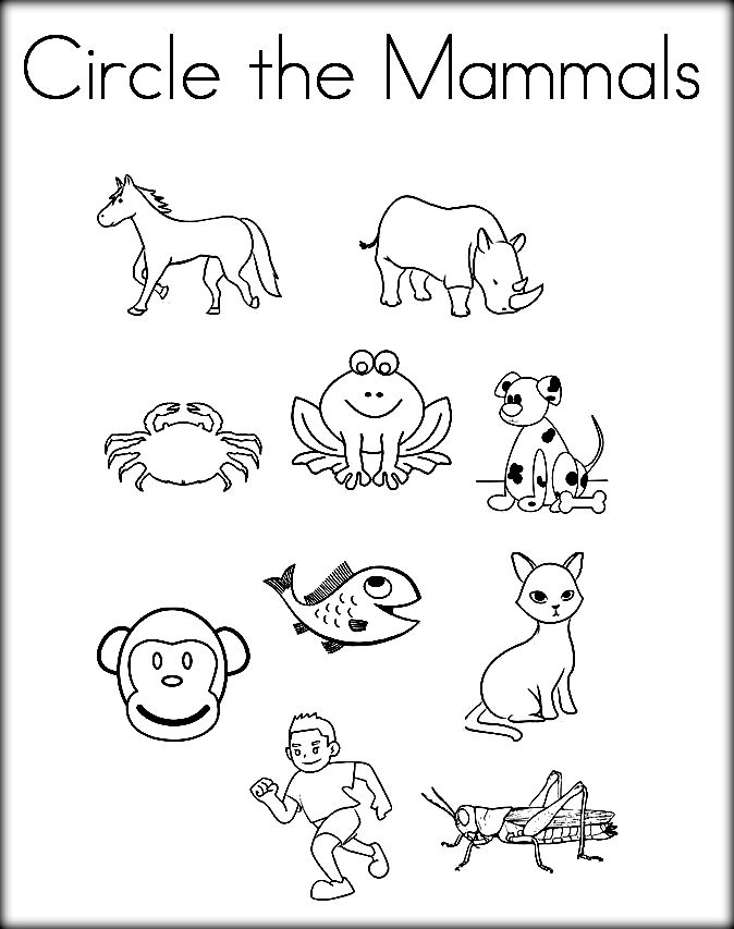 674x853 Mammals Coloring Pages