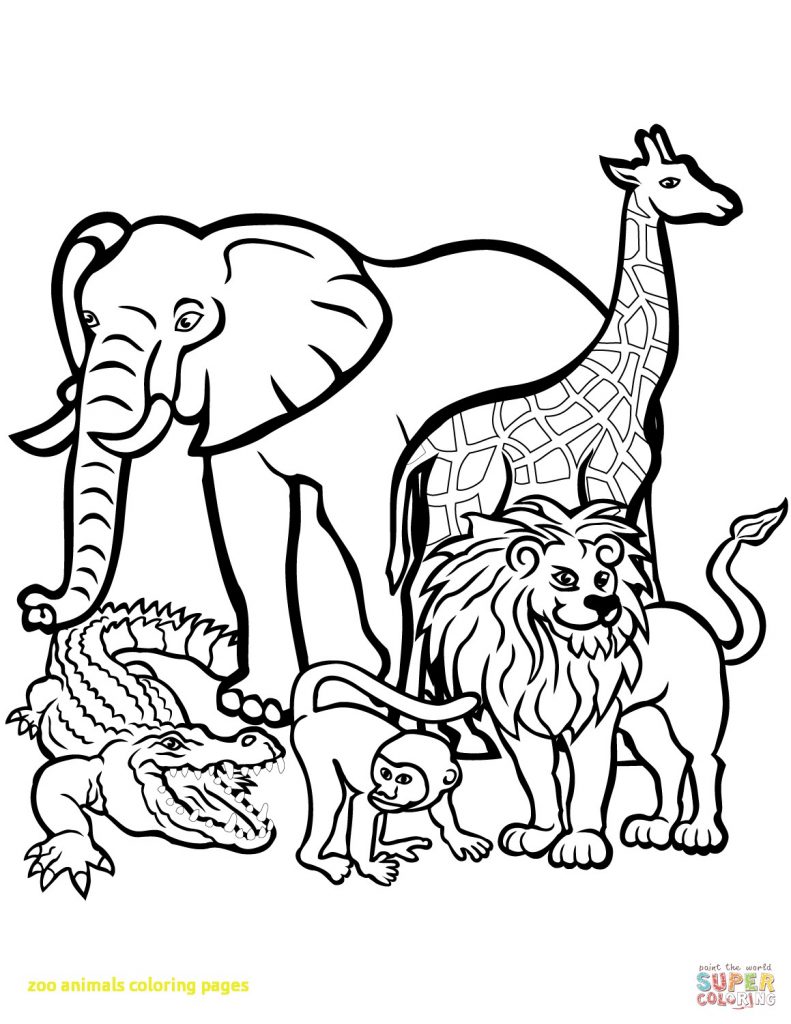 791x1024 Strange Mammal Coloring Pages Zoo Animal Sheets Deeptown Club