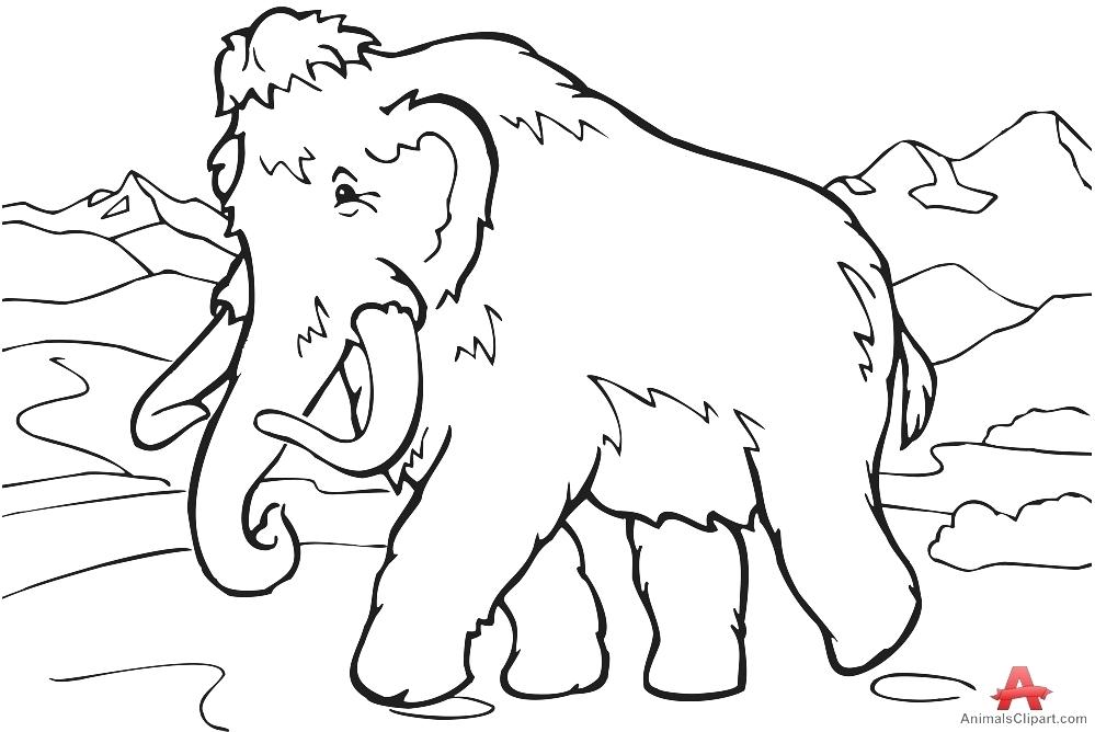 999x668 Wooly Mammoth Colouring Page Mammoth Black And White Pencil