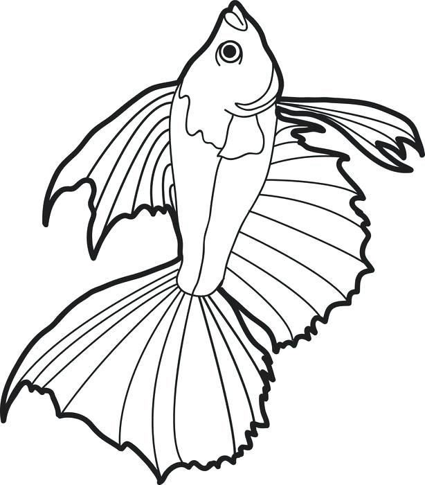 614x700 Fishing Coloring Pages Printable Realistic Fish Coloring Page