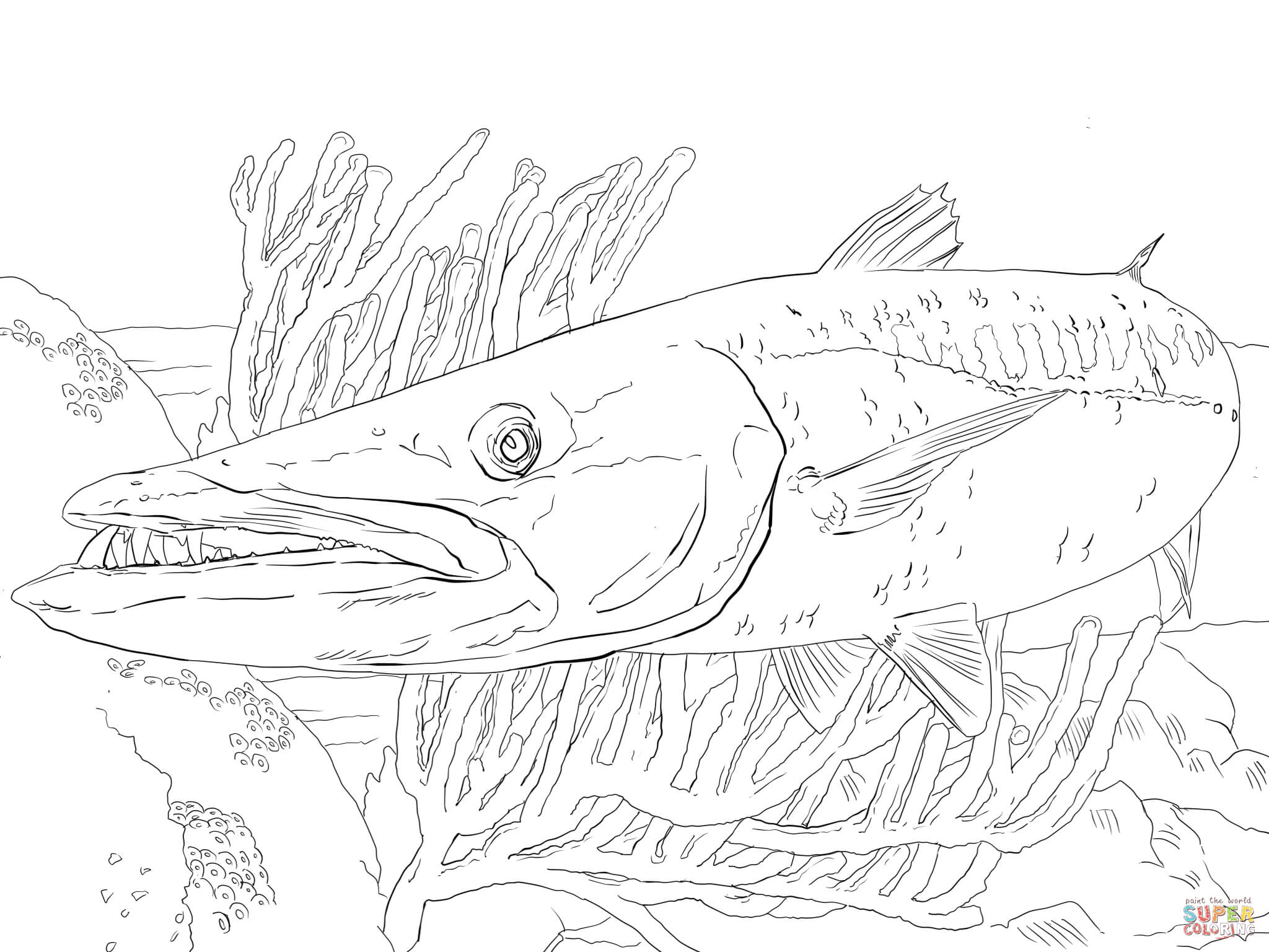 2048x1536 Extraordinary Barracuda Fish Coloring Page At Fishing Coloring