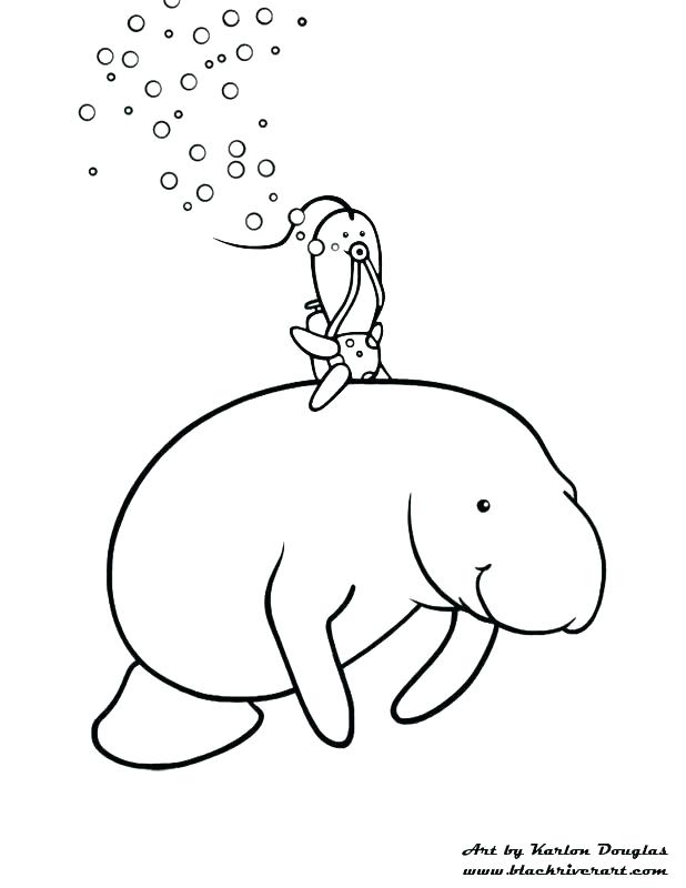 618x800 Manatee Coloring Pages Manatee Coloring Page Manatee Coloring Page
