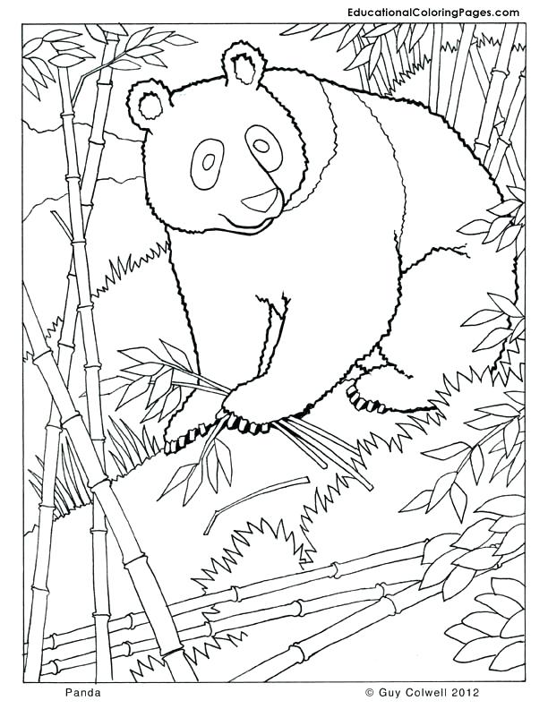 612x792 Manatee Coloring Page Manatee Coloring Page Manatee Coloring Pages