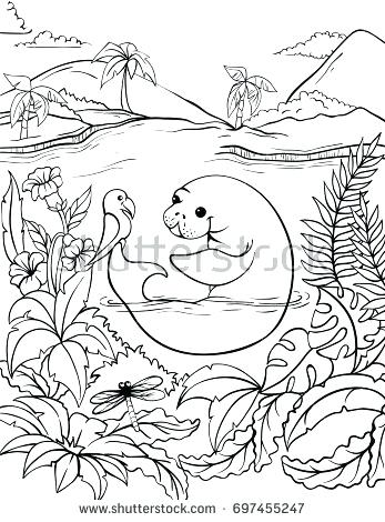 347x470 Manatee Coloring Page