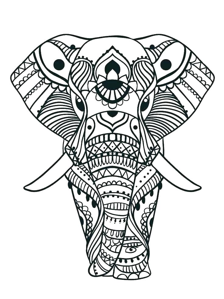 736x980 Coloring Pages Elephant Free Elephant Coloring Pages Elephant