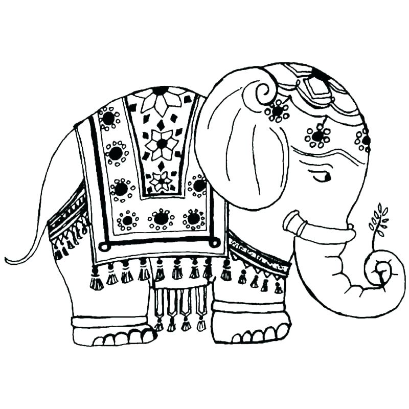 800x800 Adult Coloring Pages Elephant Elephant Mandala Coloring Pages