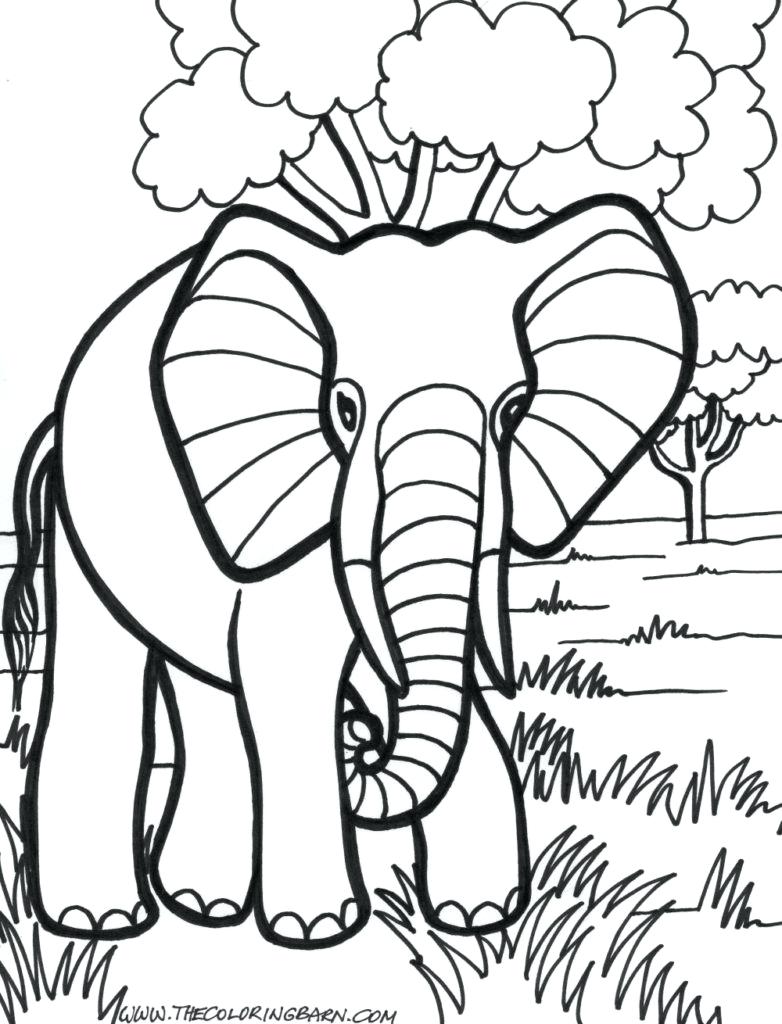 782x1024 Coloring Pages Elephant Coloring Page Adult Printable Pages
