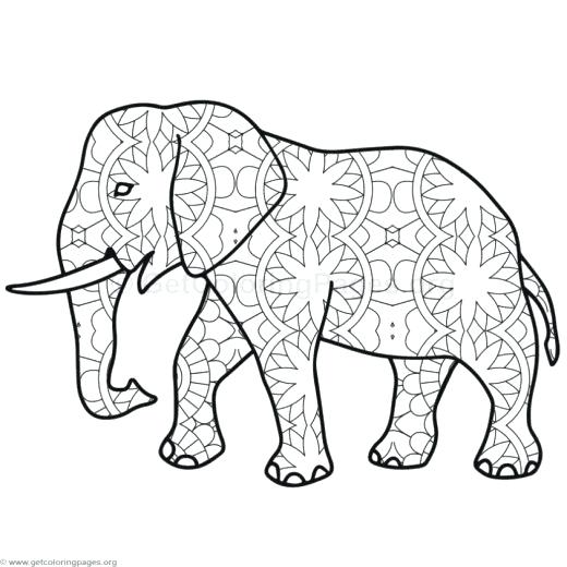 520x520 Baby Elephant Coloring Pages Elephant Mandala Coloring Pages