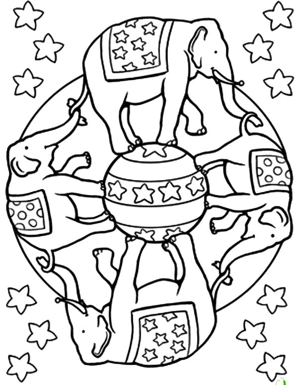 600x774 Circus Elephant Mandala Coloring Pages Best Place To Color