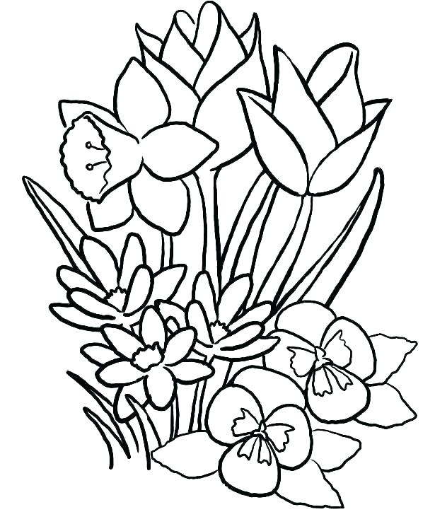 615x741 Flower Coloring Pages Cartoon Flower Coloring Pages S Cartoon