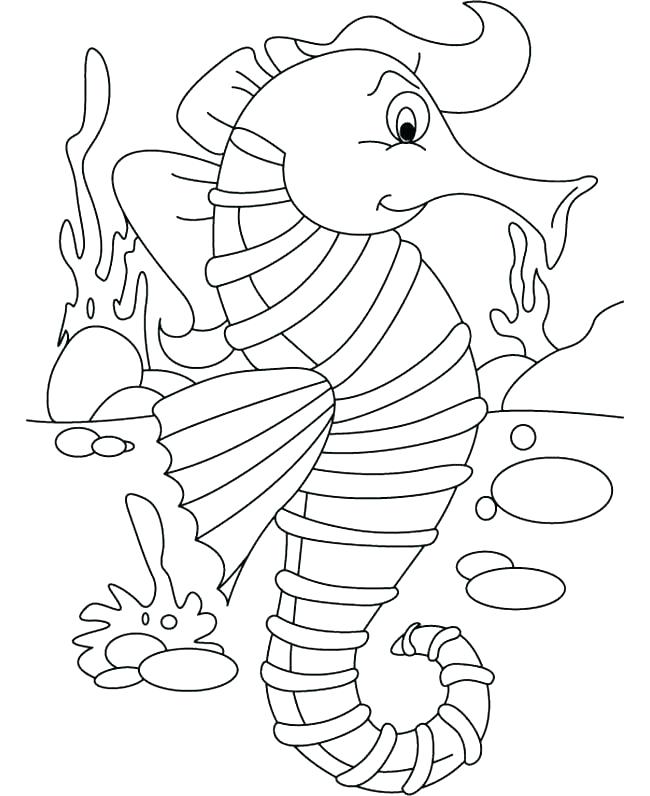 650x796 Sea Horse Coloring Page Seahorse Coloring Pages Printable Baby