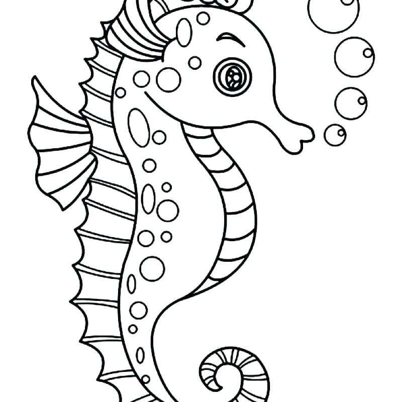 792x800 Sea Horse Coloring Pages Best Of Seahorse Coloring Page