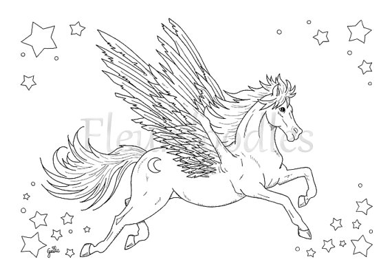 570x403 Adult Coloring Pegasus Printable Digital Download Winged