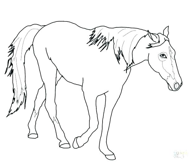 618x521 Coloring Baby Horses Coloring Pages Horse Of Picture Online