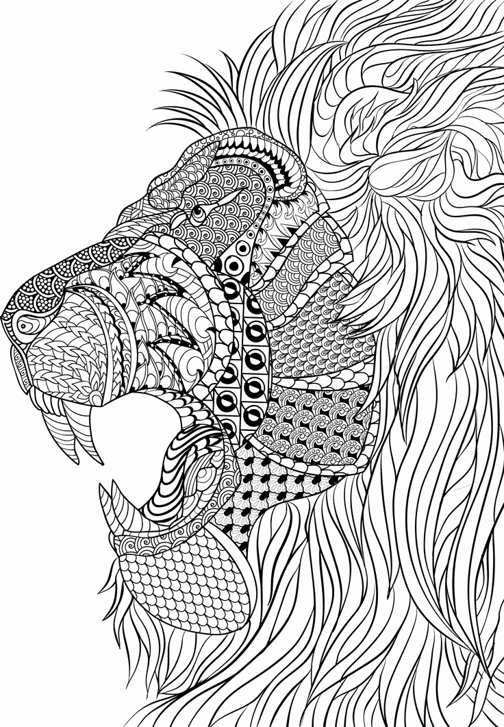 736x1061 Adult Coloring Pages Alfa Wolf Coloring Pages Animal Mandala