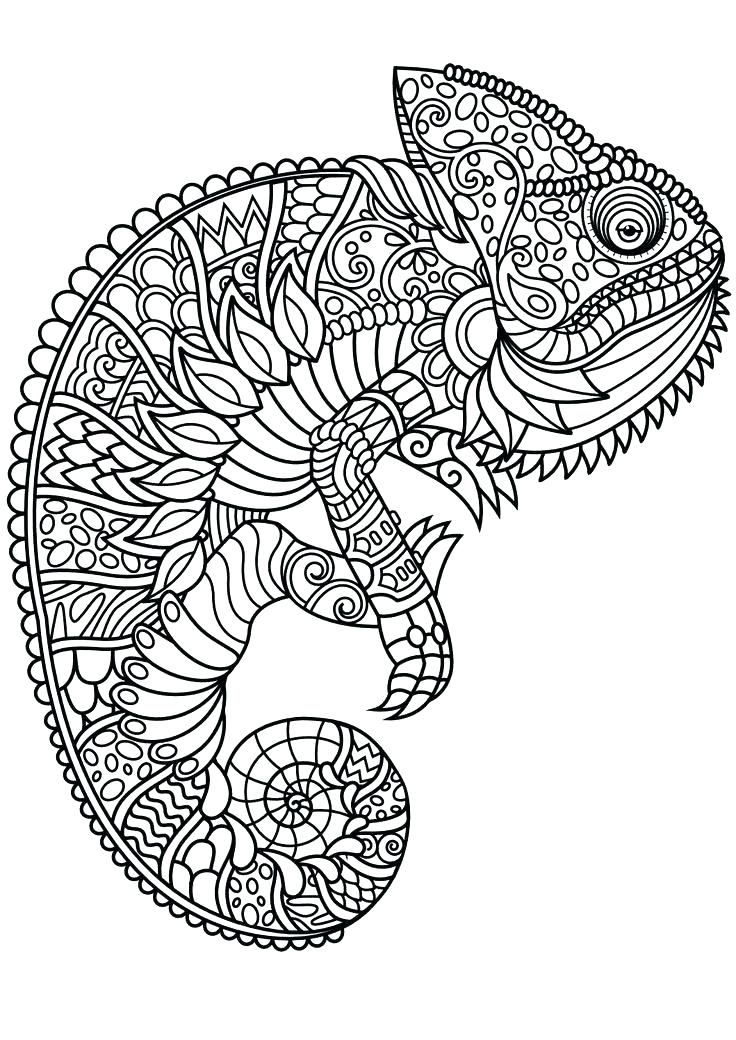 736x1040 Realistic Sea Animal Coloring Pages Creatures Pictures Animals