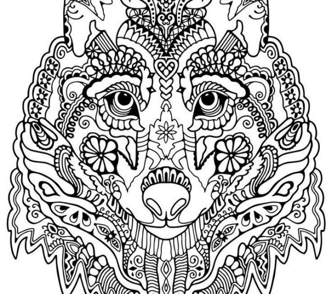 678x600 Wolf Coloring Sheet Wolf Coloring Pages For Adults Cute Wolf Adult