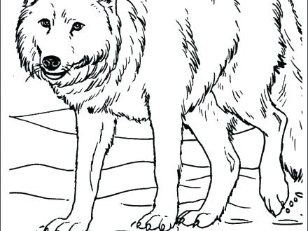 440x330 Anime Wolf Coloring Pages