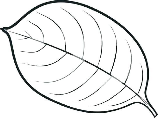 630x493 Mango Coloring Pages