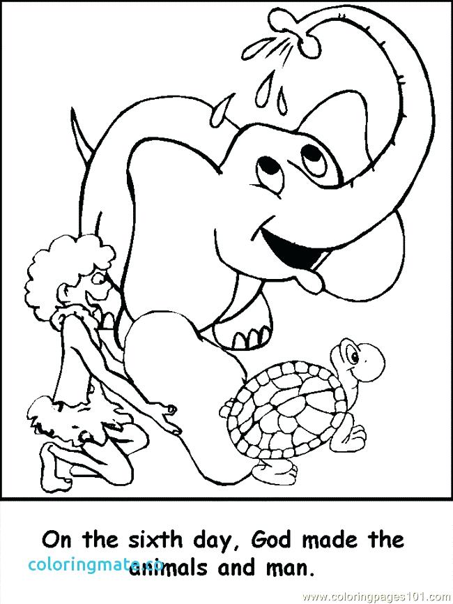 650x866 Creation Coloring Pages Collection The Biblical Creation Story