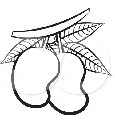 374x421 Free Mangos Coloring Pages Ideas