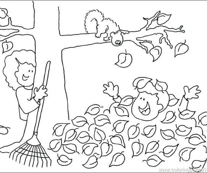 678x567 Free Printable Fall Tree Coloring Pages Maple Tree Coloring Page