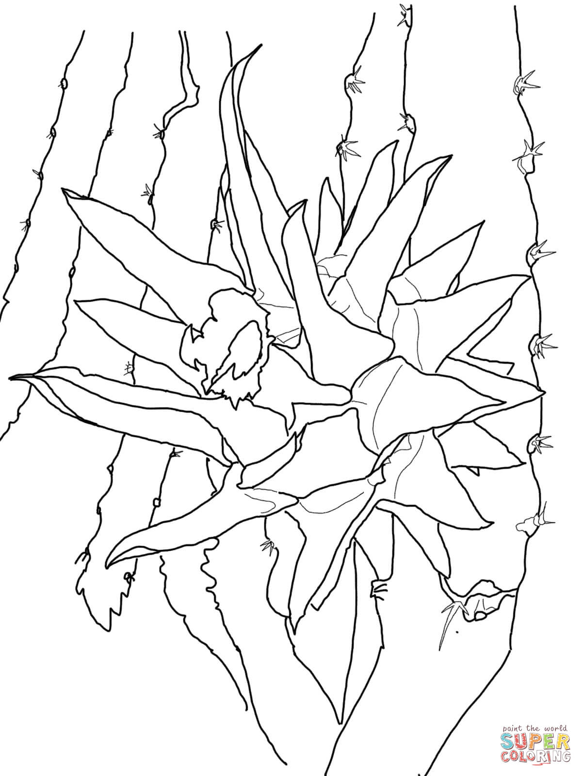 1200x1600 Inspiration Coloring Pages Of Mango Trees