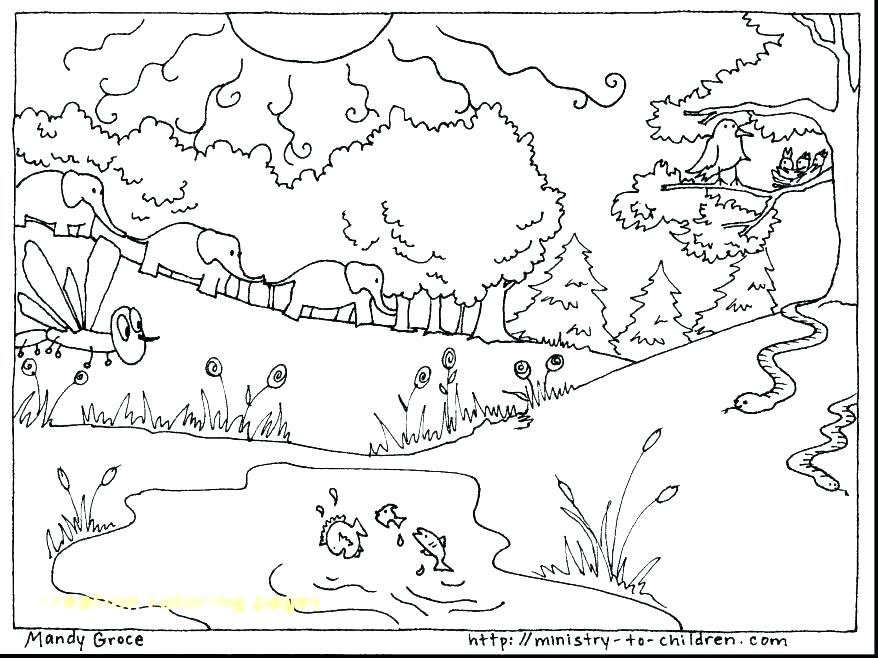 878x658 Mango Coloring Pages Mango Coloring Pages Mango Tree Coloring