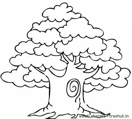 425x385 Trees Coloring Pages And Clipart