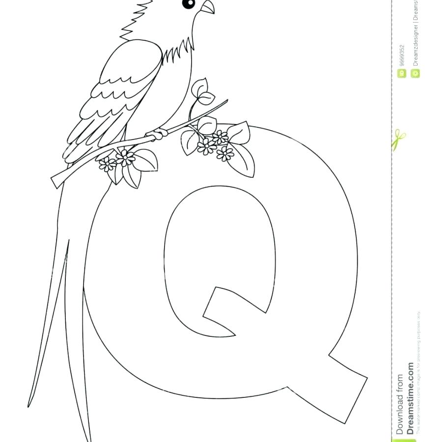 867x900 Quail Coloring Page Quail Coloring Page Quail Illustrations